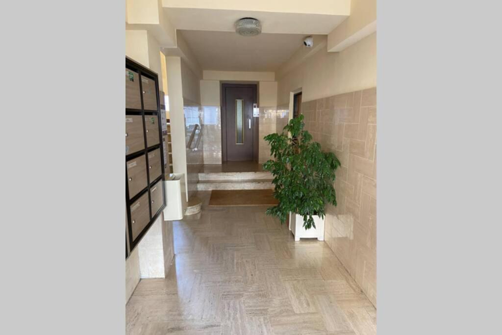Trottel Balcony Apartment: Beach Retreat with Wi-Fi and Parking Ajaccio  Exterior photo
